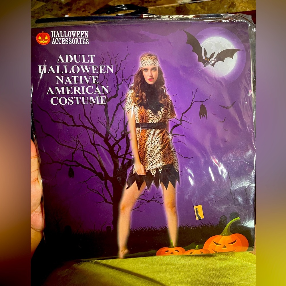 Adult Halloween Native American Costume One Size